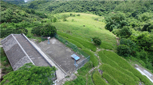 角峰村比较集中的一大片梯田已经承包出去，但承诺种火龙果的承包商一直没有过来种植。