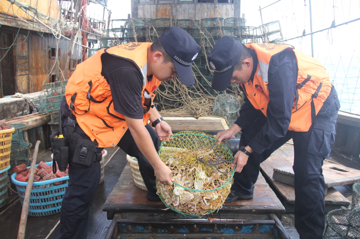 从8月4日开始，广东海警三支队派出所属舰艇，对包括北部湾海域在内的湛江、茂名、阳江一线海域开展巡查，严厉查处各类休渔期海上违规捕捞行为。