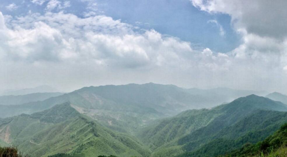 在皂幕山的山顶俯瞰群山,可看到山脊上突起的防火林带.