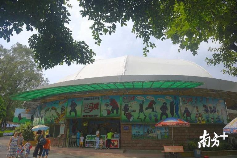 广州动物园动物行为展示馆 南方+记者肖雄 摄