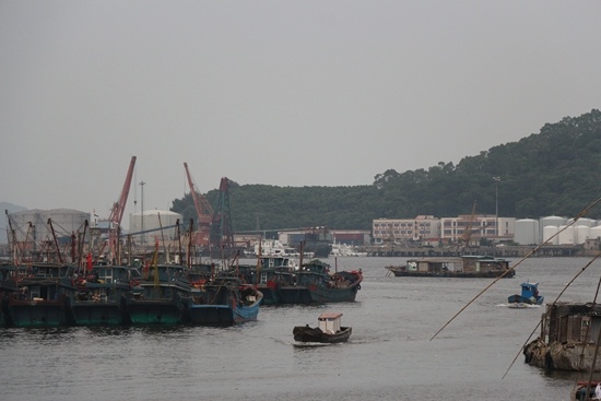 图为饶平县三百门渔港，船只驶回避风港。
