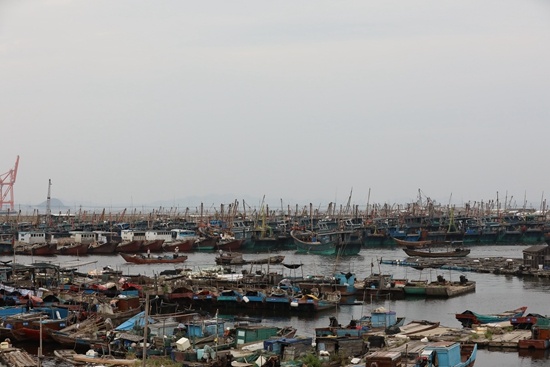 图为饶平县三百门渔港，停靠在避风港的船只。