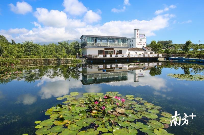 博罗县松树岗村自开展省级新农村示范片建设以来，投入2450万元，完成了村庄整治、道路硬化、污水处理、绿化美化亮化等19个项目。