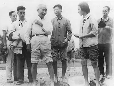 1963年8月,卢永根(左四)随丁颖(左三)在宁夏引黄灌区考察水稻 1963年8月,卢永根(左四)随丁颖(左三)在宁夏引黄灌区考察水稻