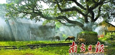 丰阳村是南唐元帅隐居地。潘贤强 摄 丰阳村是南唐元帅隐居地。潘贤强 摄