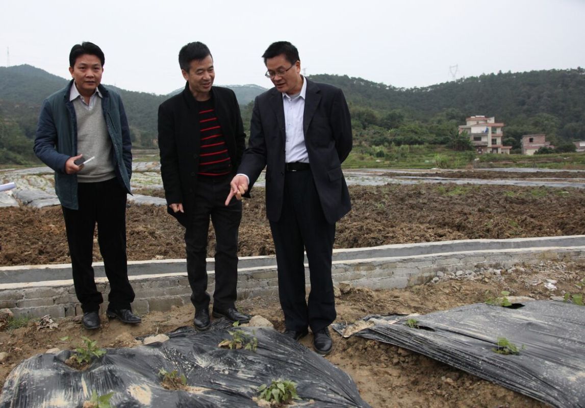 徐树新到安塘街调研南药基地建设情况