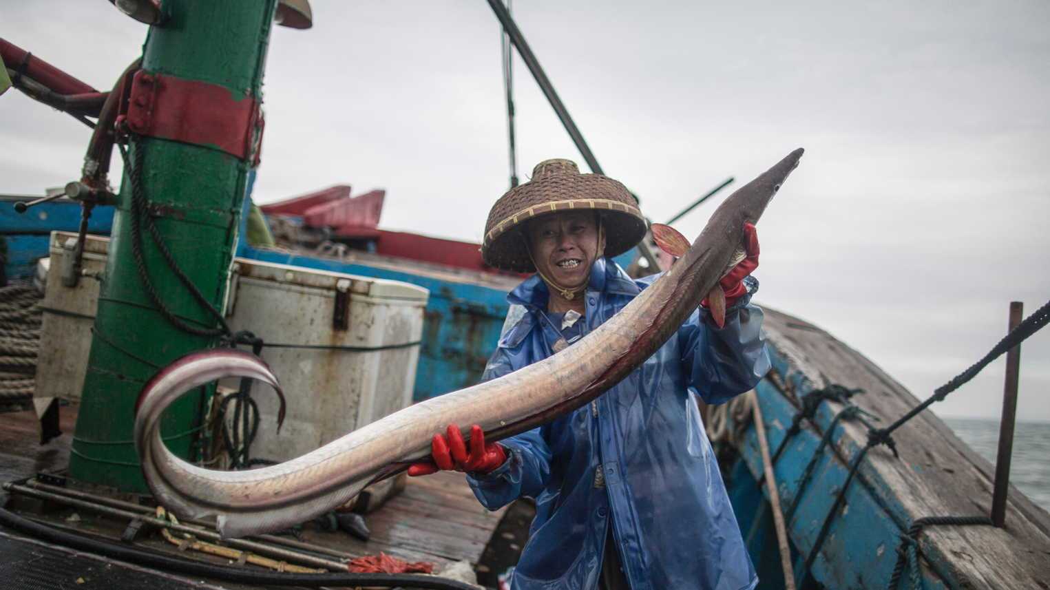 位于惠来县靖海镇的南外村,上午祠堂前的广场正举行热闹非凡的"迎老爷