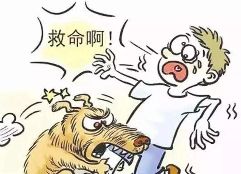 男孩狂犬病发作身亡!5年前曾被狗咬伤家长却……教训