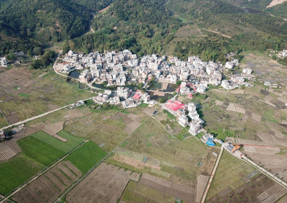 3月28日,在岭南第一状元莫宣卿故居封开县渔涝镇蕨村,来自全国各地及