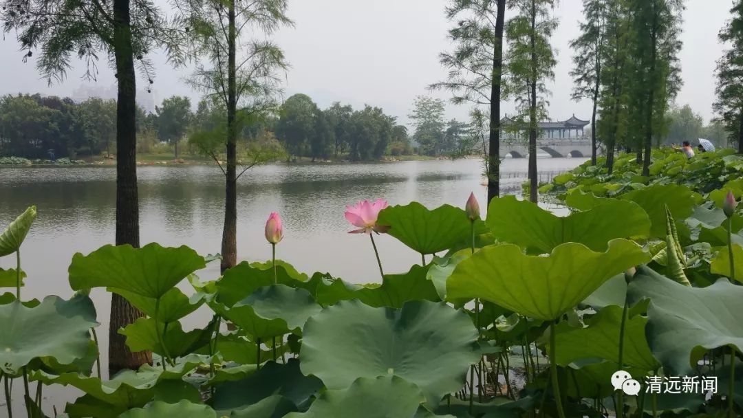 沈梓敏《幸福之城 潘英才《华南装饰城,就这样看像星空 黄咏俏