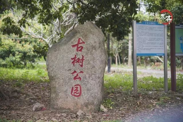 秋长这几个村庄让你爱上"身边的风景"