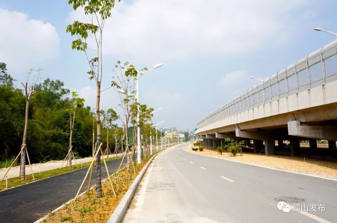 这条道路有新变化!从鹤山出发全线不设红绿灯,一路繁花相伴!