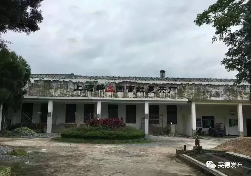 公司位于英德市英红镇云岭,自有茶园及农户合作茶园5000多亩,种植的