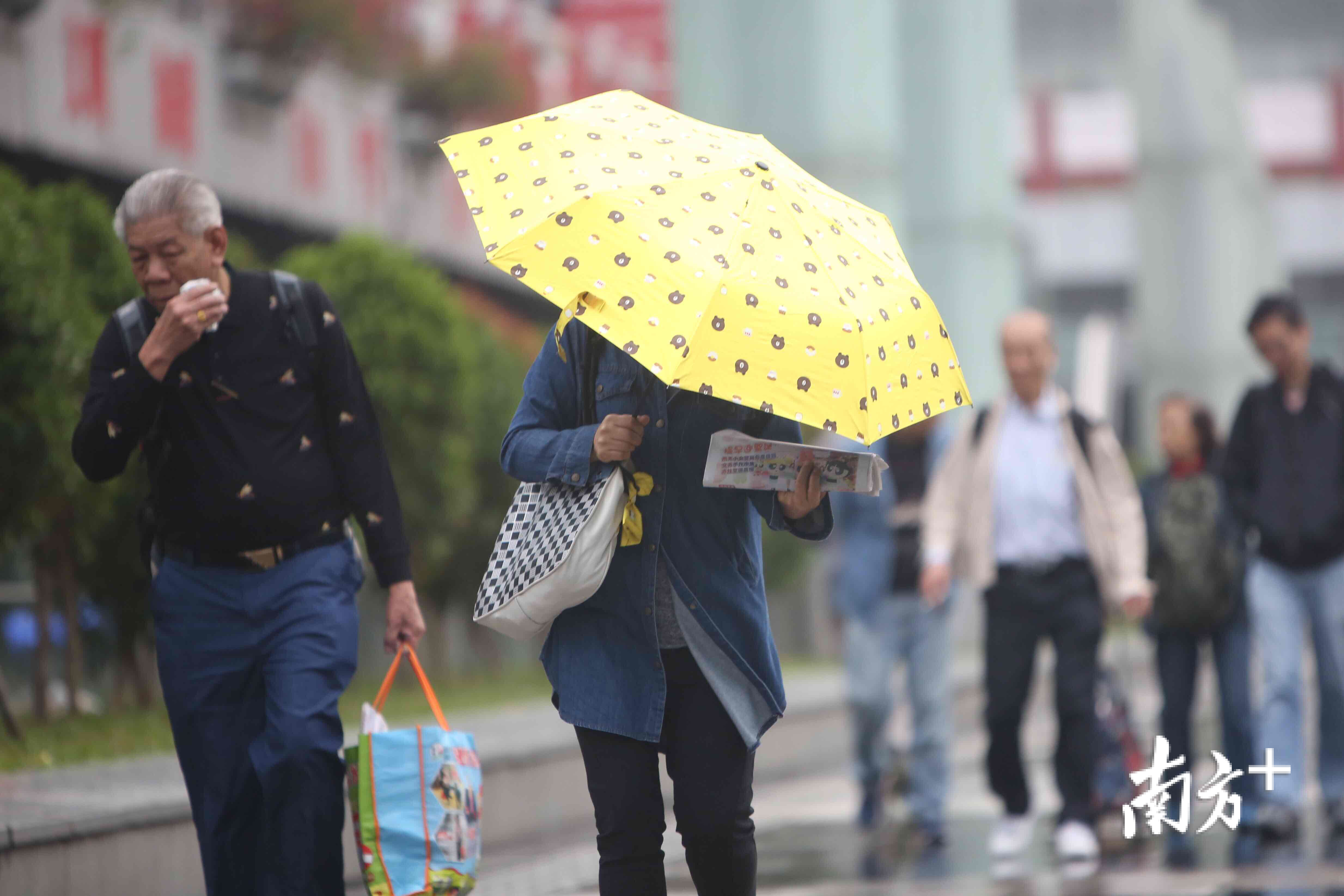 盼望着,盼望着,广东人等待的"续命冷空气"终于来了!