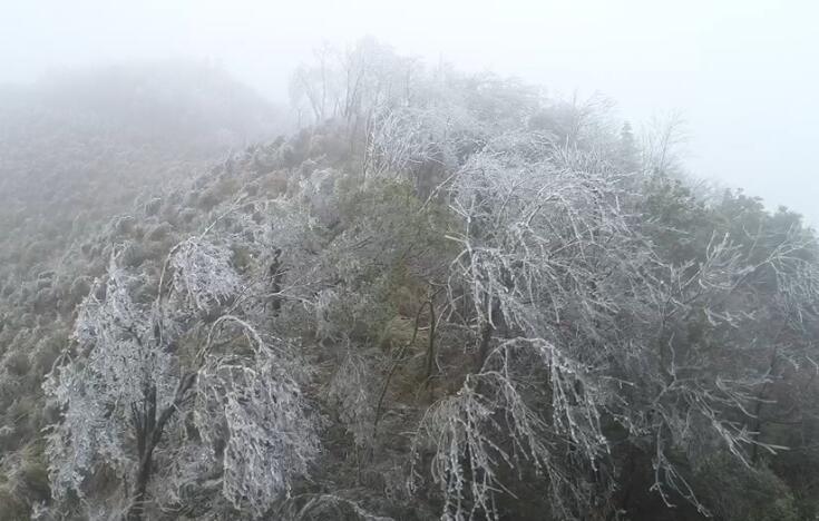 "中国长寿之乡"连州下雪啦!