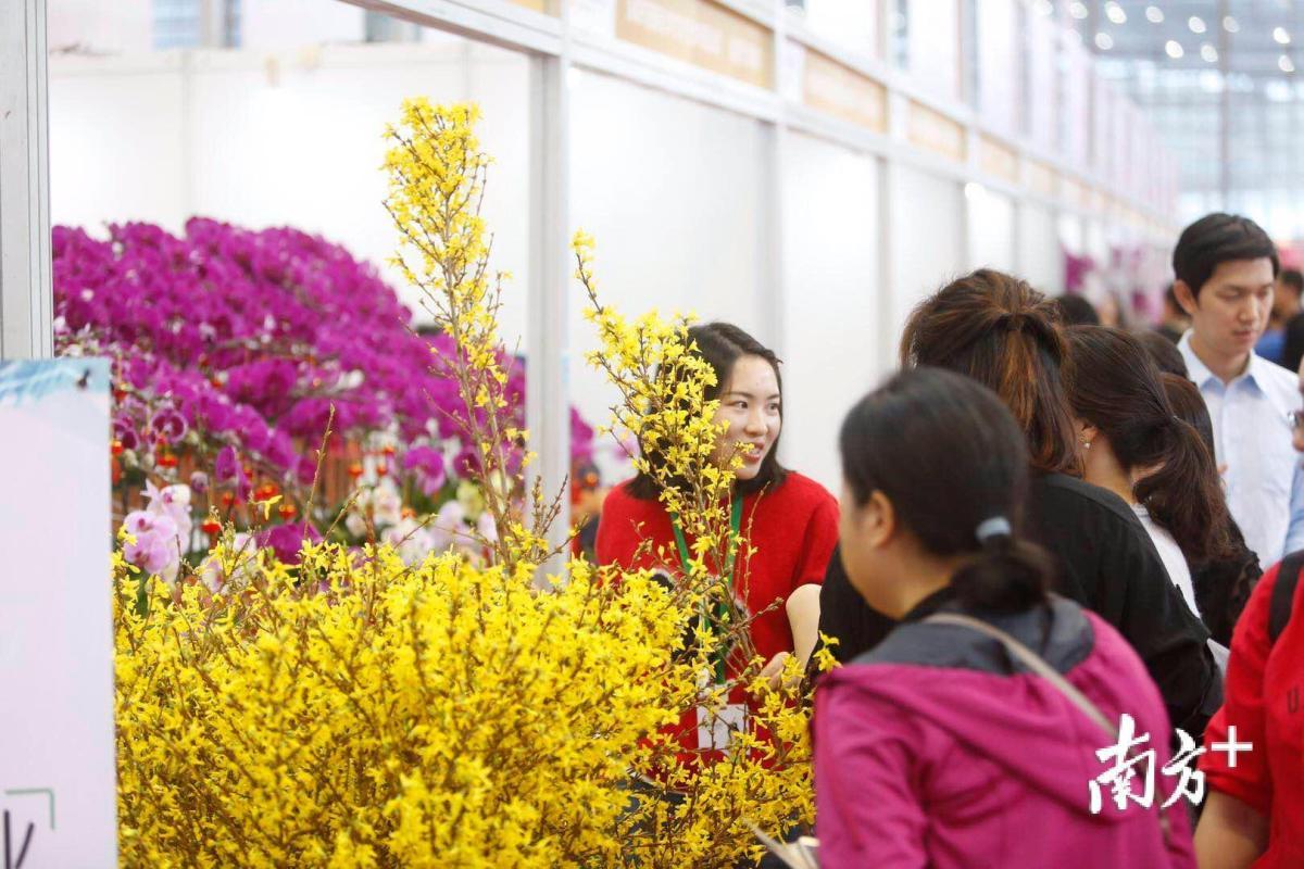 南山花市 时间:1月29日-2月4日,每天9:00-22:00 地址:荷兰花卉小镇 3.