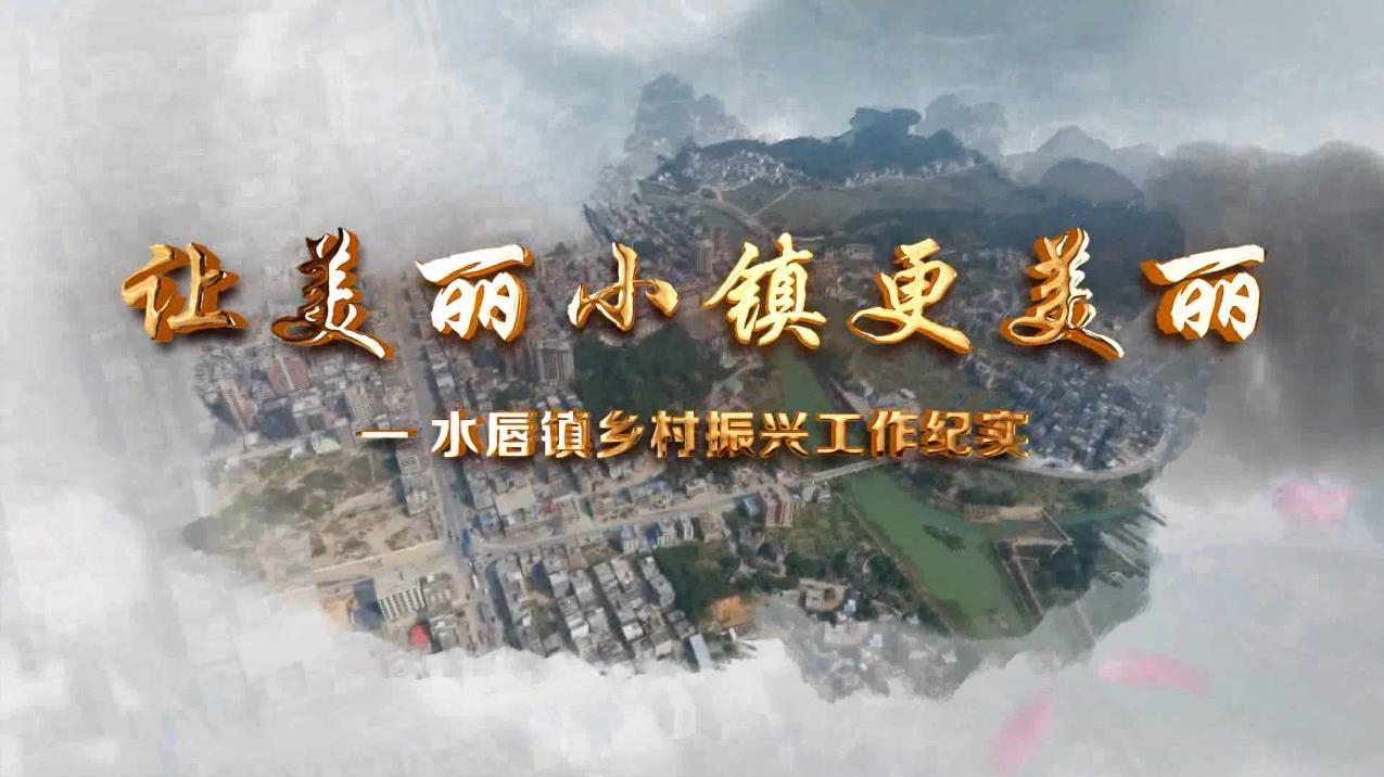 【视频】陆河县水唇镇:让美丽小镇更美丽