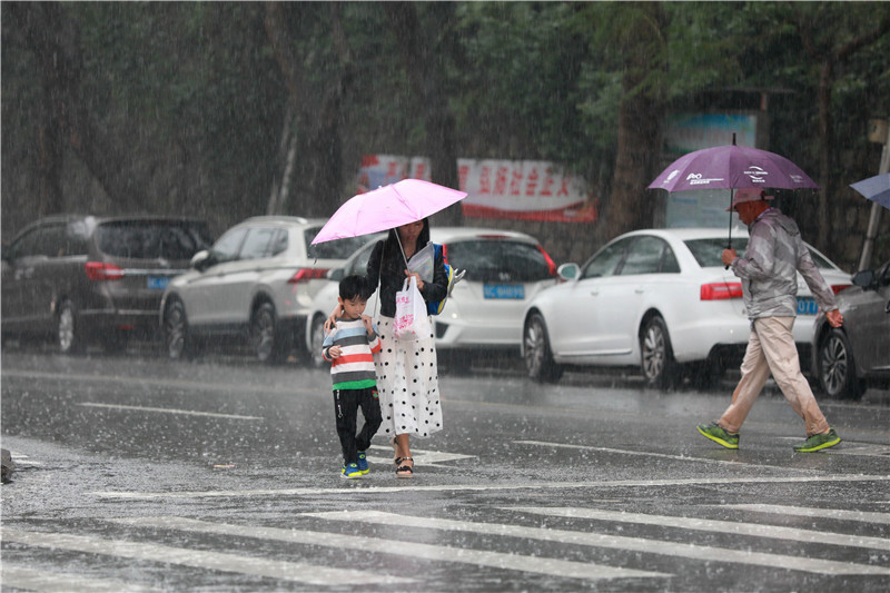 图集| 当大雨撞上晚高峰,看珠海人"花式"回家