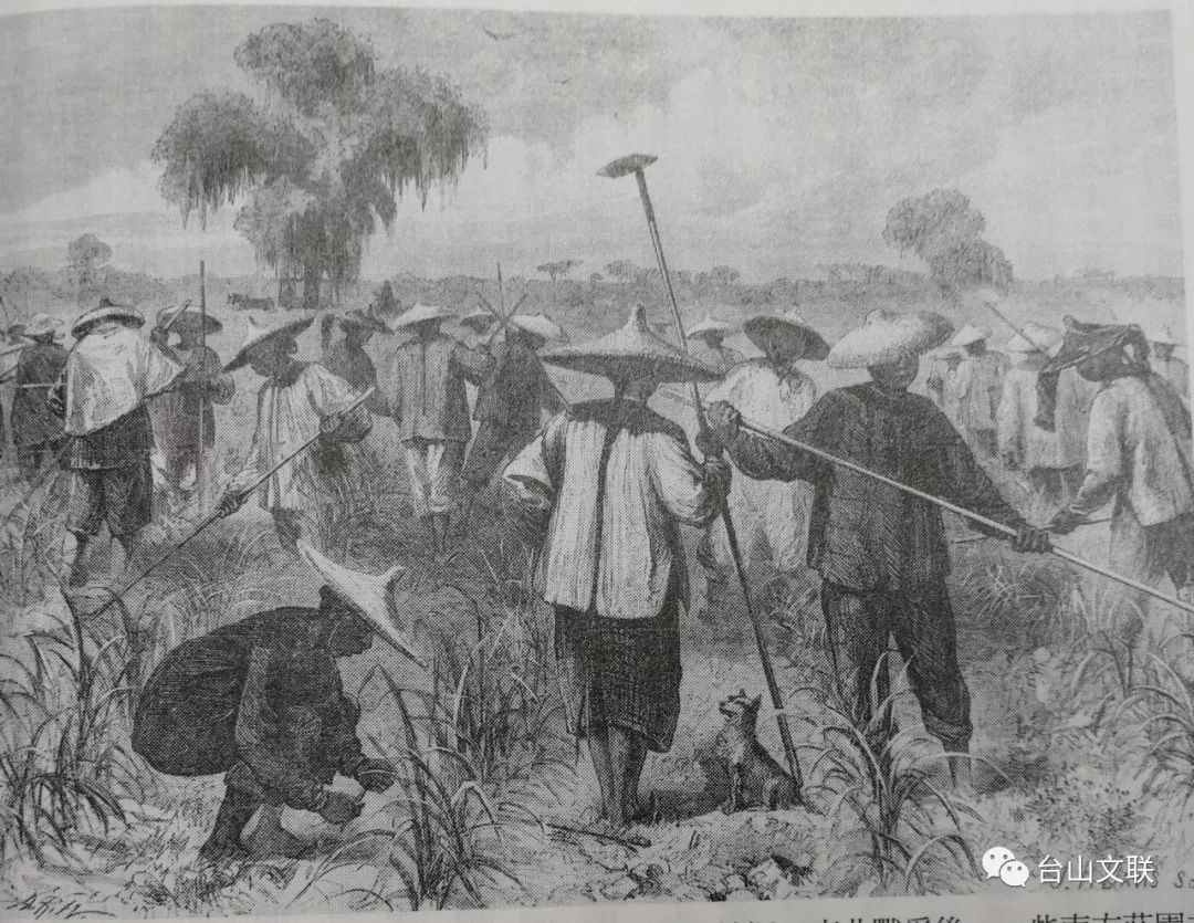 1854年,新会地区发生大规模农民起义,以响应太平天国革命,波及台山