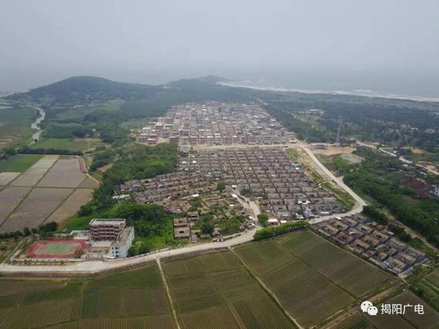 挥洒青春汗水 助力乡村振兴—记"揭阳市优秀青年典型"郑泽豪