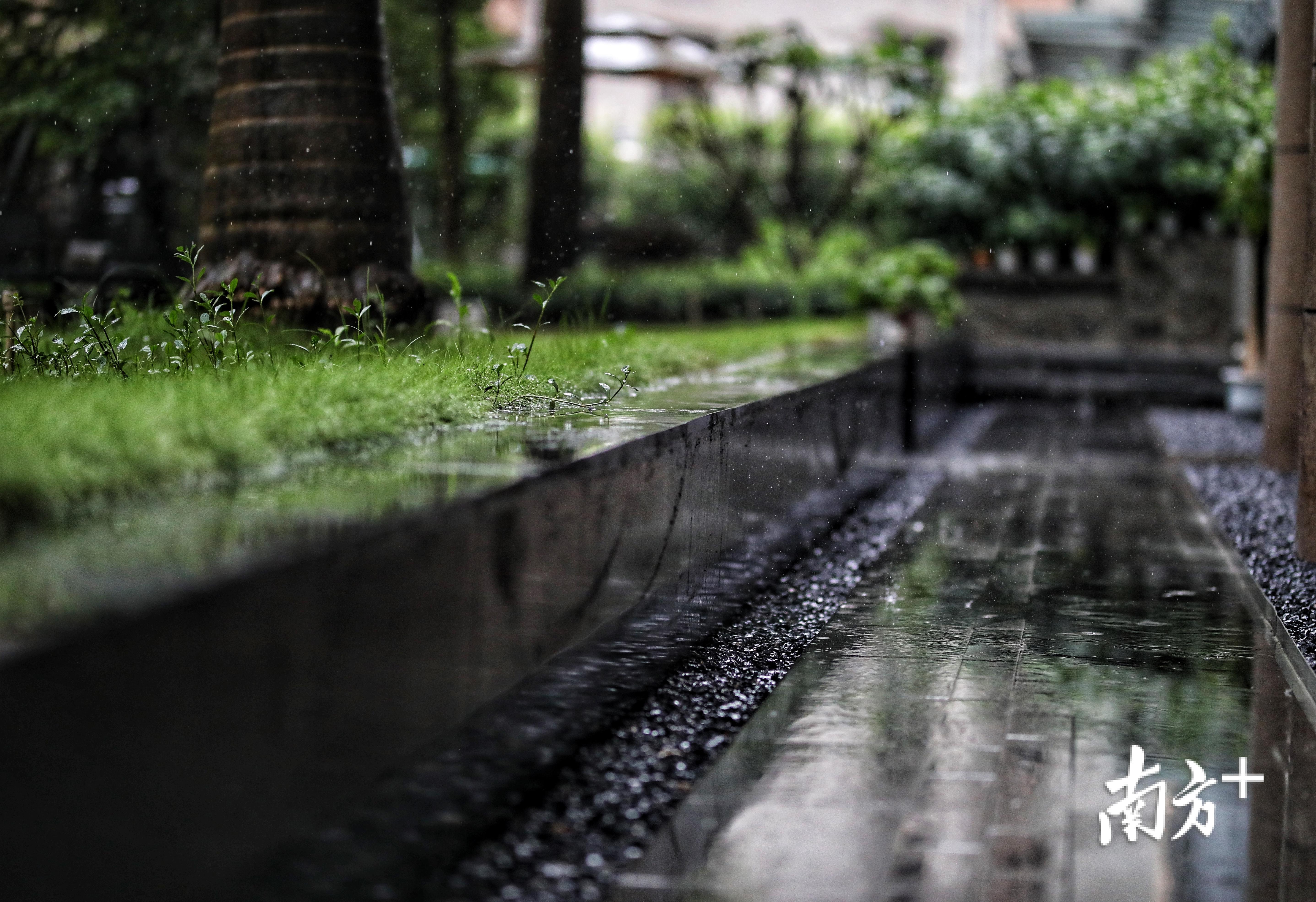 图集|龙舟水突袭羊城,下雨天和下班更配吗?