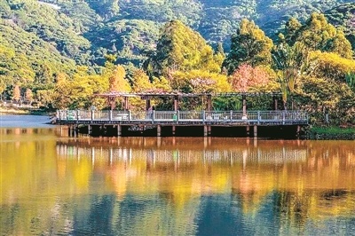 厚街镇大岭山森林公园秋色迷人.