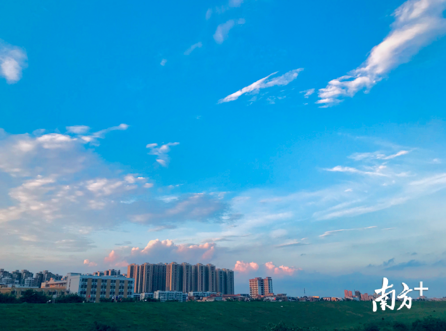 淼城随拍 | 雨后天空,三水北江大堤美出新高度!