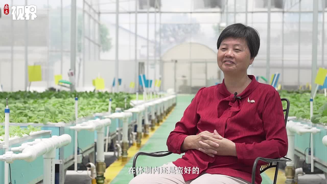 走进广州花都花东镇联安村恒泰气雾栽培蔬果基地,一幅以高科技支撑