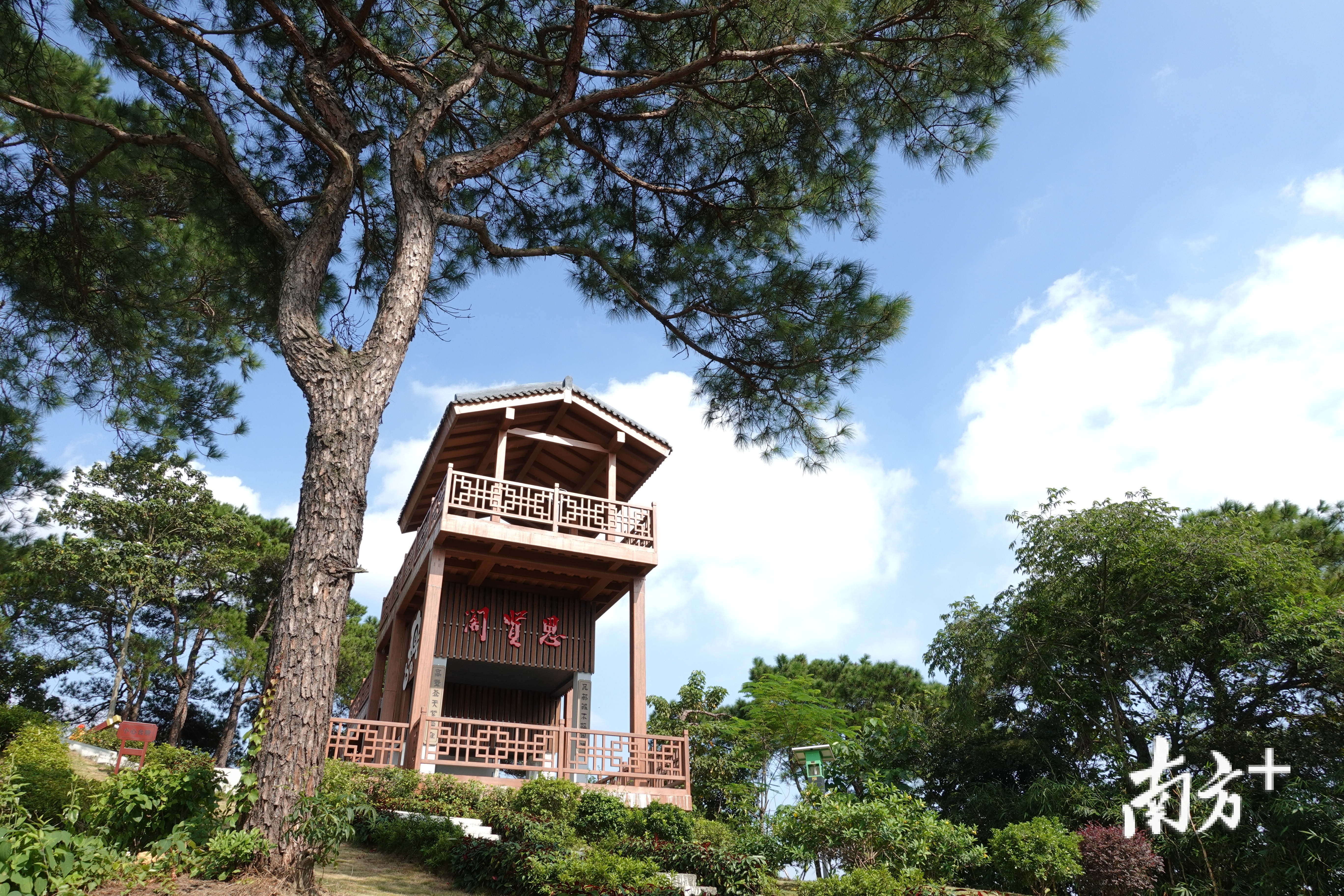 金秋十月,佛山这些乡村风景正美!