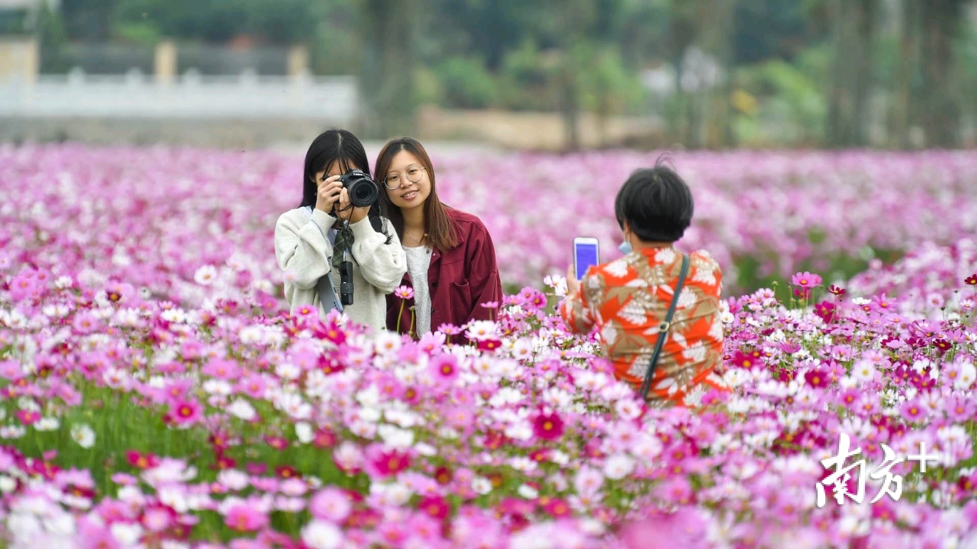 三水云东海旅游文化节亮点抢先看