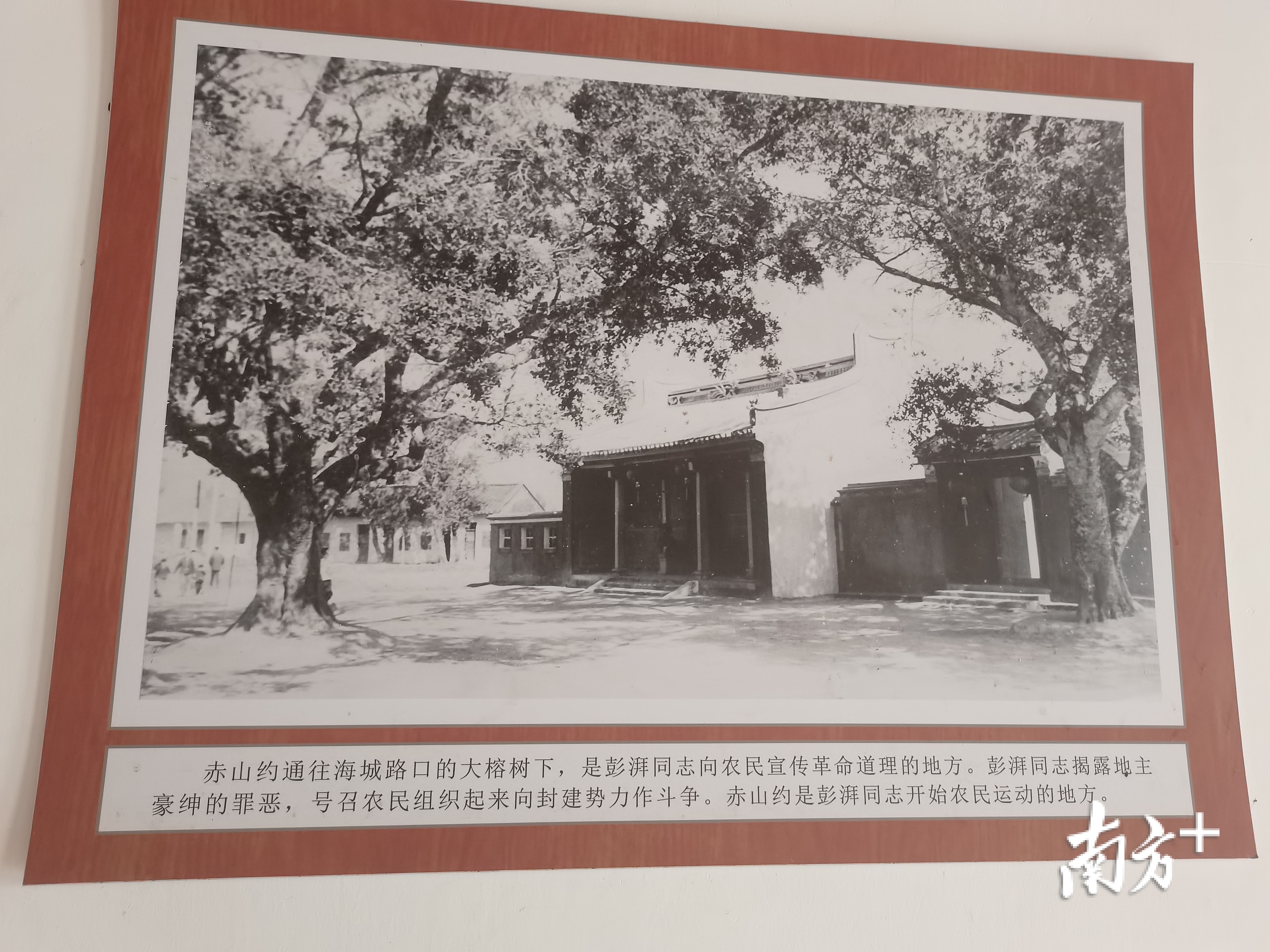 红色文化资源激发老区发展内生动力 海丰县总农会旧址位于车水马龙的