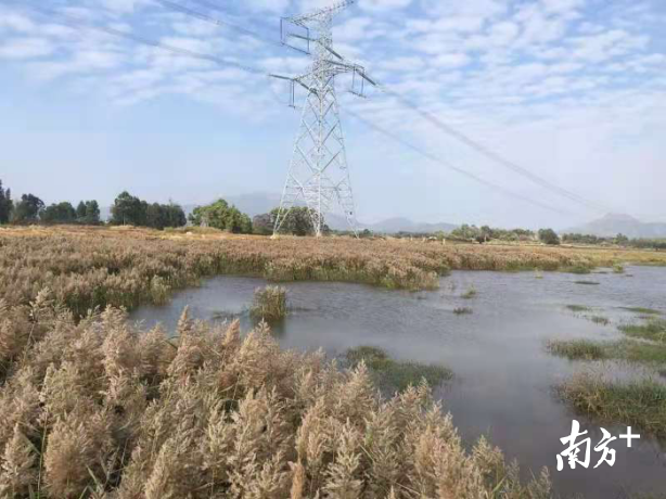 城东镇水墘村垦造前