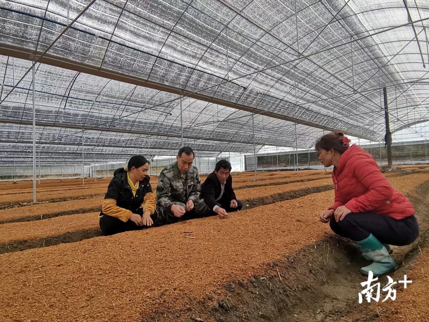 全国脱贫攻坚先进个人彭松柏驻村五年帮扶地成第二故乡