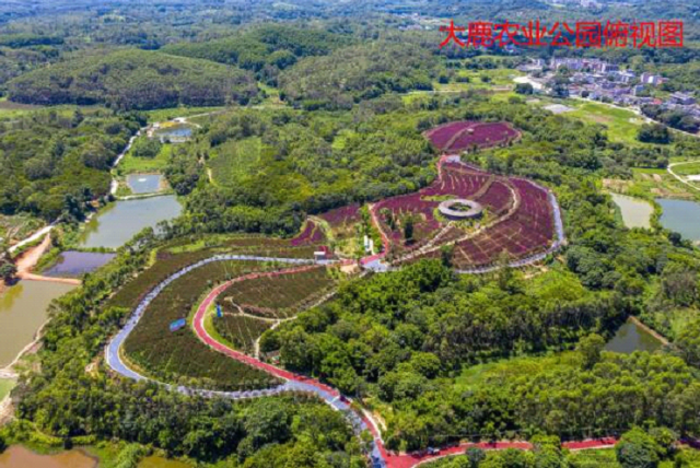 其中,大鹿农业公园以种植彩化苗木为主,集引进,产销,体验园艺于一体的