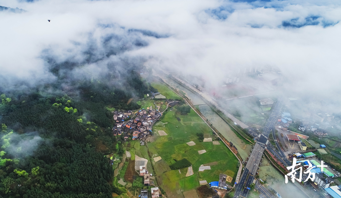 连山是国家级生态功能区，森林覆盖率达85.78%。记者曾亮超 摄