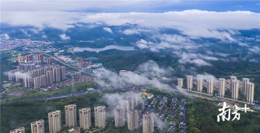 黄江 杨石彪摄 黄江 杨石彪摄