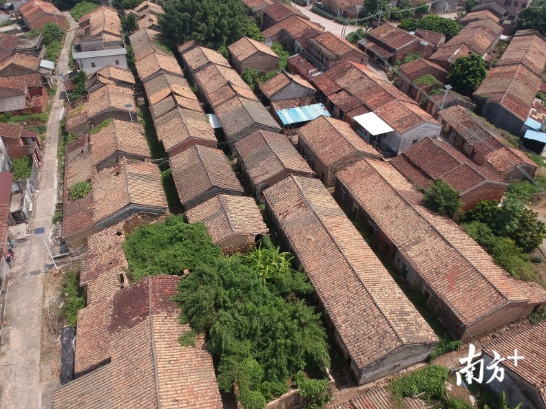 古村基本都是小矮层为主，整齐有序。