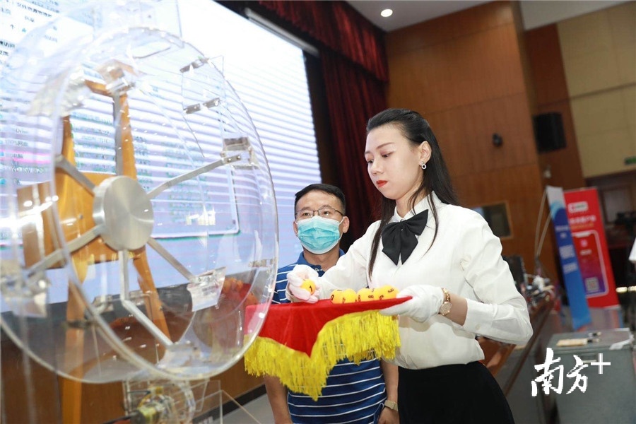 东莞义务教育阶段学校摇号派位