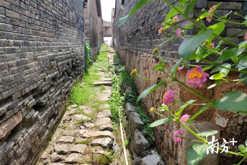 古村内的巷道都是以石料铺设地面。