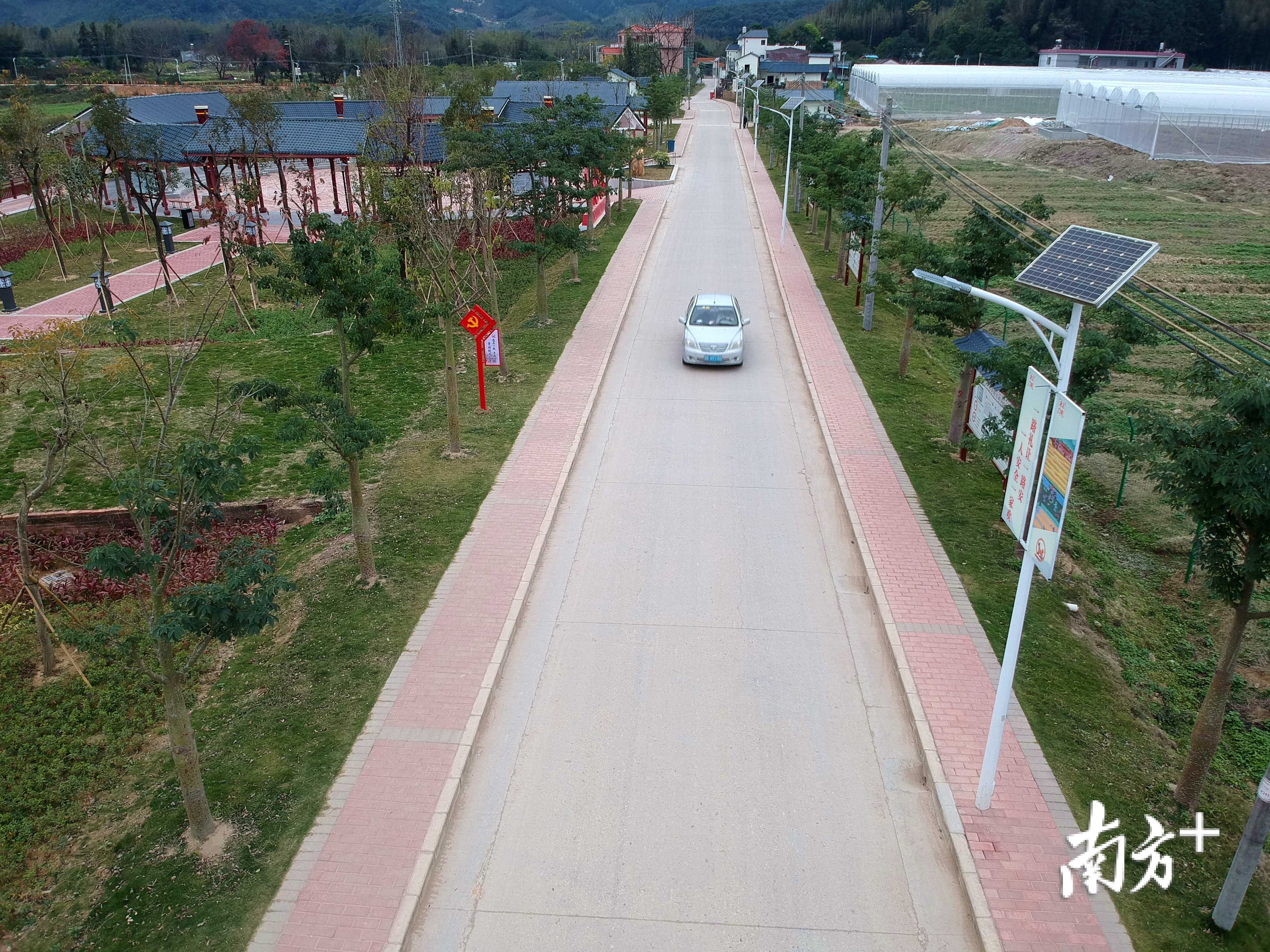 结合美丽乡村建设，上东村多条村道实现硬底化，道路两旁还安装了太阳能路灯 南方日报记者 梁维春 摄