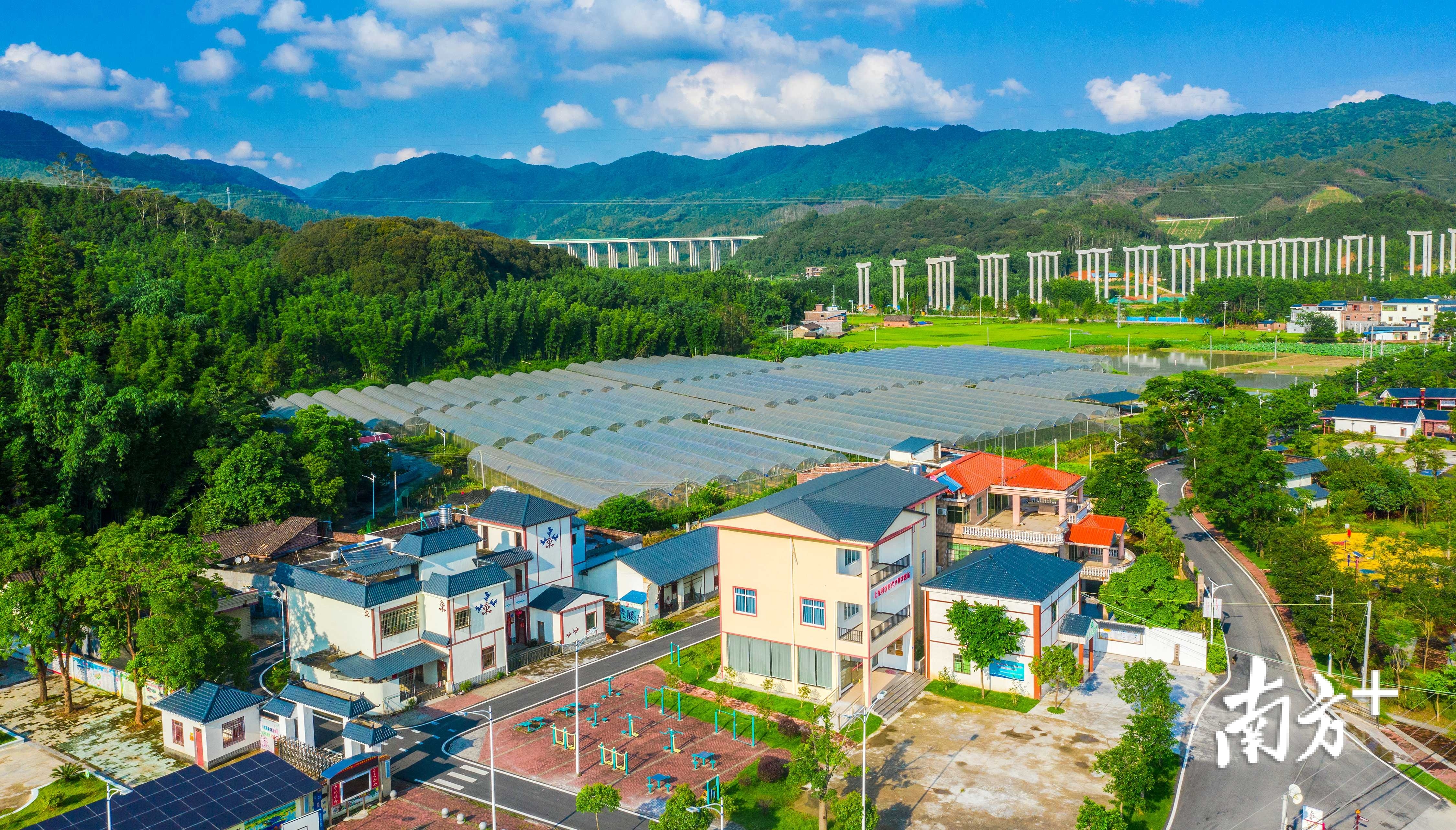 村边的生态果园项目让村民实现了在"家门口"就业增收 南方日报记者