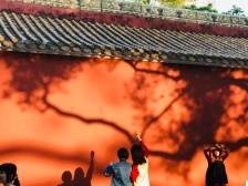 百景百灯、扮红景区，广州百家景区庆祝建党一百周年