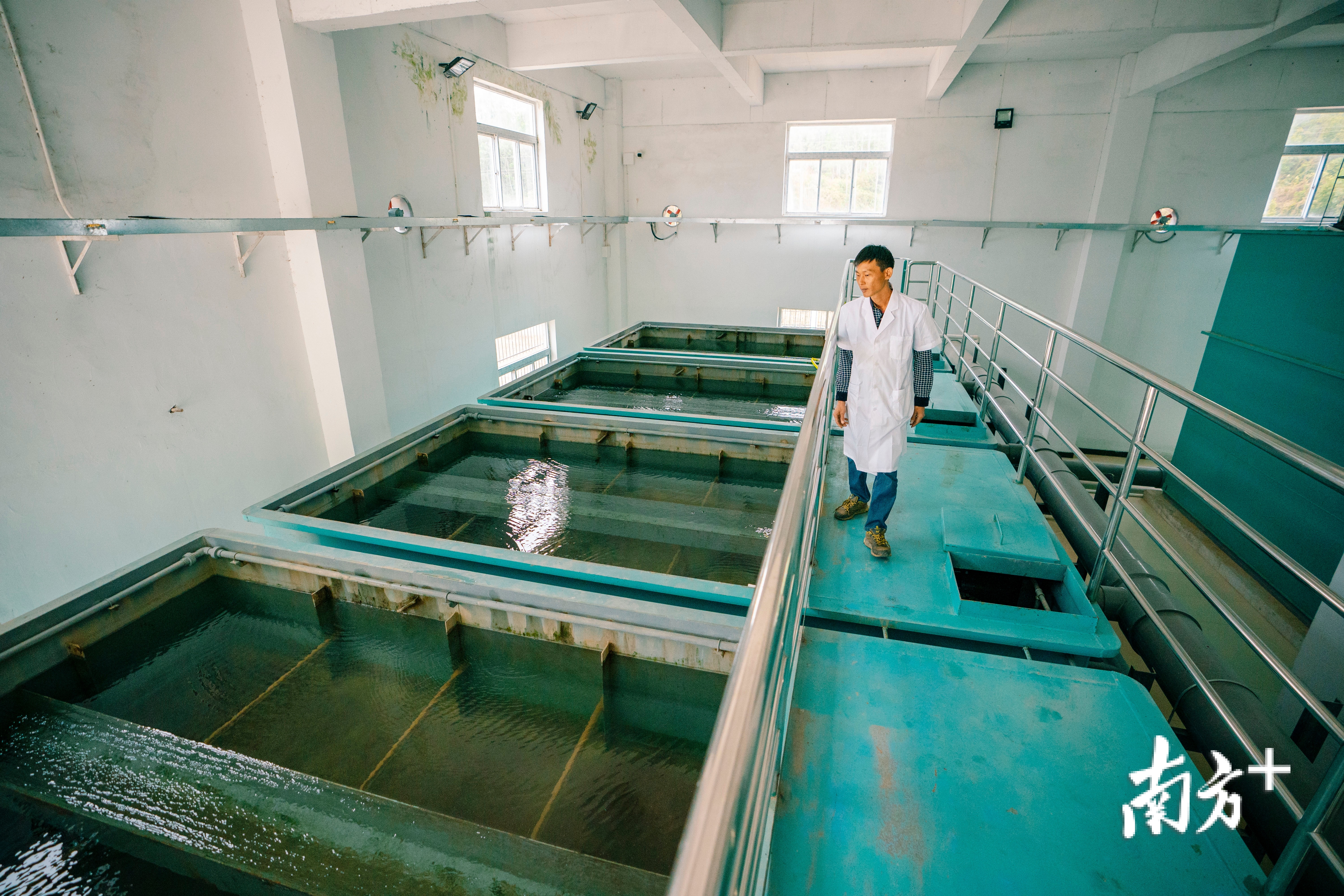 惠州全市实现“村村通自来水”,惠城区横沥镇矮陂村的岭下自来水厂里工作人员在巡查。