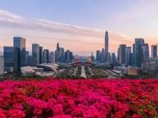 南方观察|深圳不仅是一座城，更是一条路