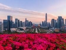 南方观察丨福田：以幸福之名，构建首善之区新品质