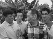 “湛江是个好地方！”袁隆平与湛江携手研究海水稻