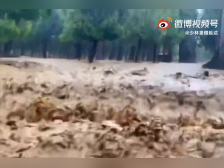 嵩山少林寺被淹暂停开放！河南暴雨持续，龙门石窟等景区闭园