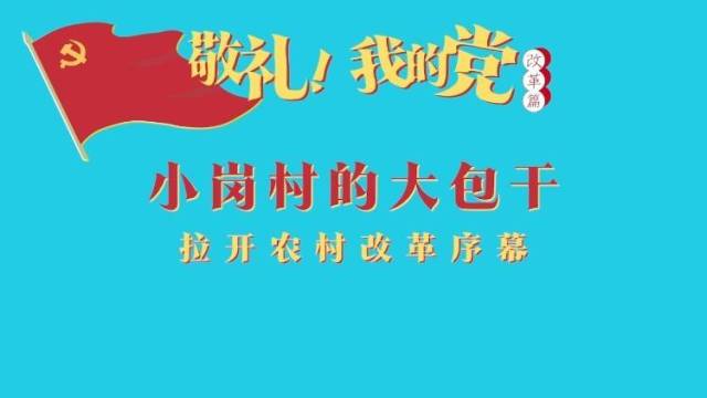 《敬礼！我的党》第五十九集：小岗村的大包干