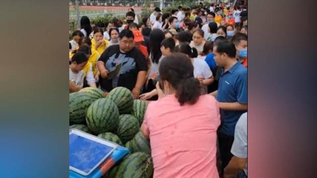 河南卖瓜小哥将8千斤西瓜免费送给志愿者：让他们渴了有瓜吃