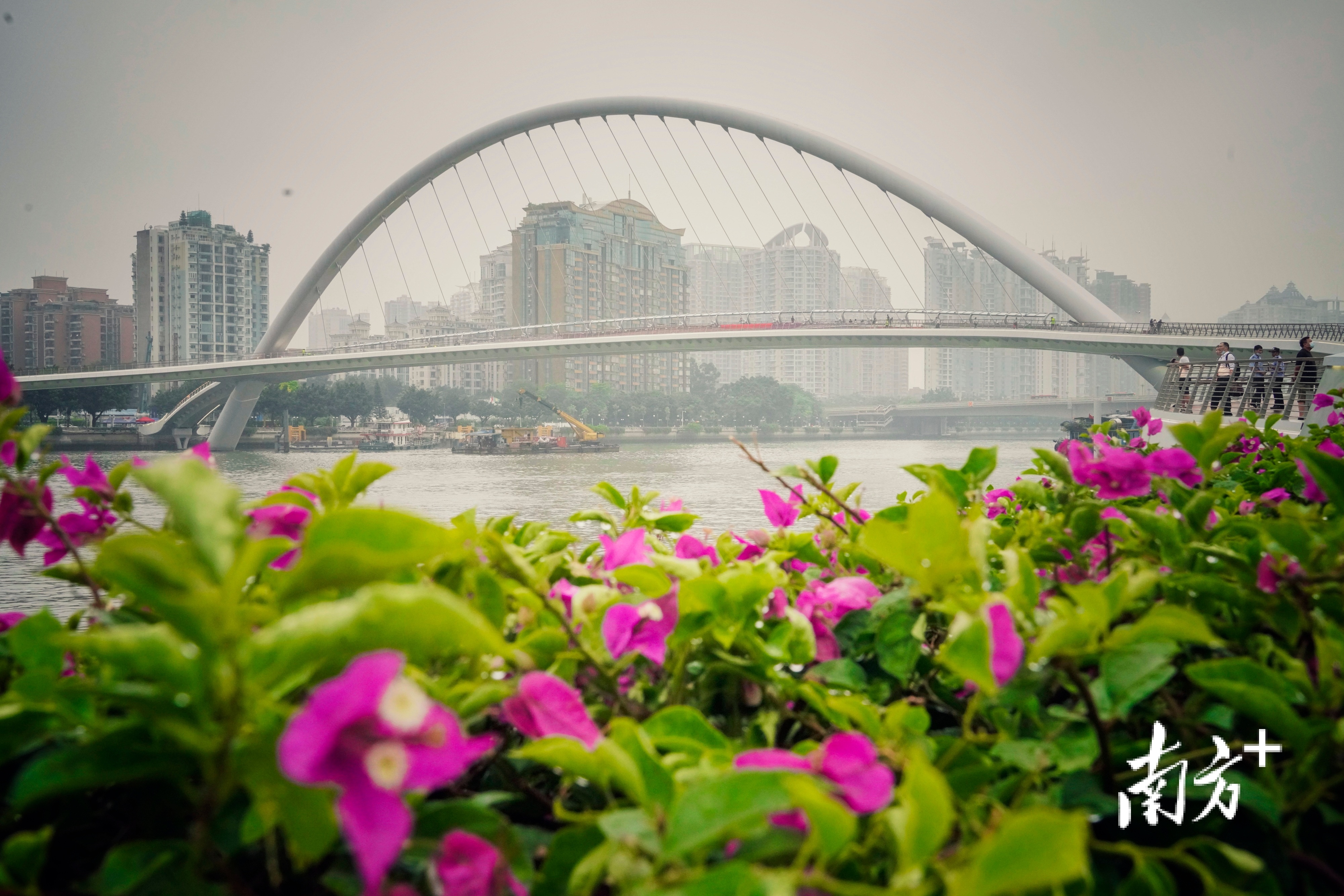 海心桥。张冠军 摄